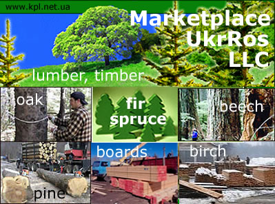 Buying wood, lumber, timber from Ukraine